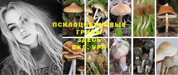 меф Абаза