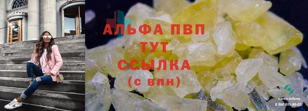 эйфоретик Алзамай