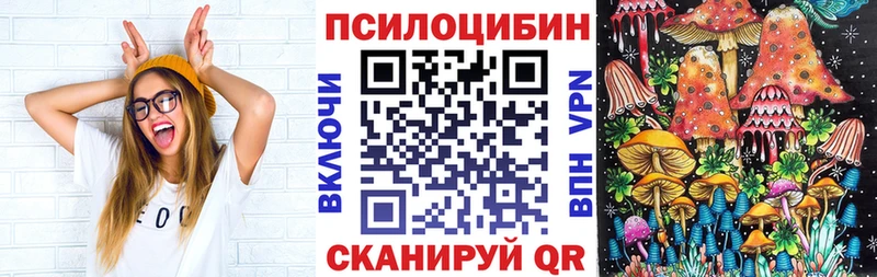 где купить наркоту  Норильск  Галлюциногенные грибы прущие грибы 
